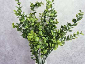 Arbustito de hojas verdes 20291